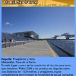 Canal Sea Forest