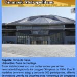 Gimnasio Metropolitano